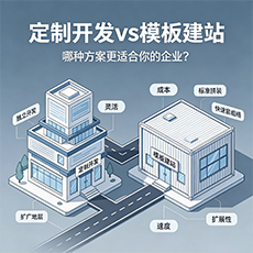 塔什库尔干建站-定制开发vs模板建站：哪种方案更适合你的企业？