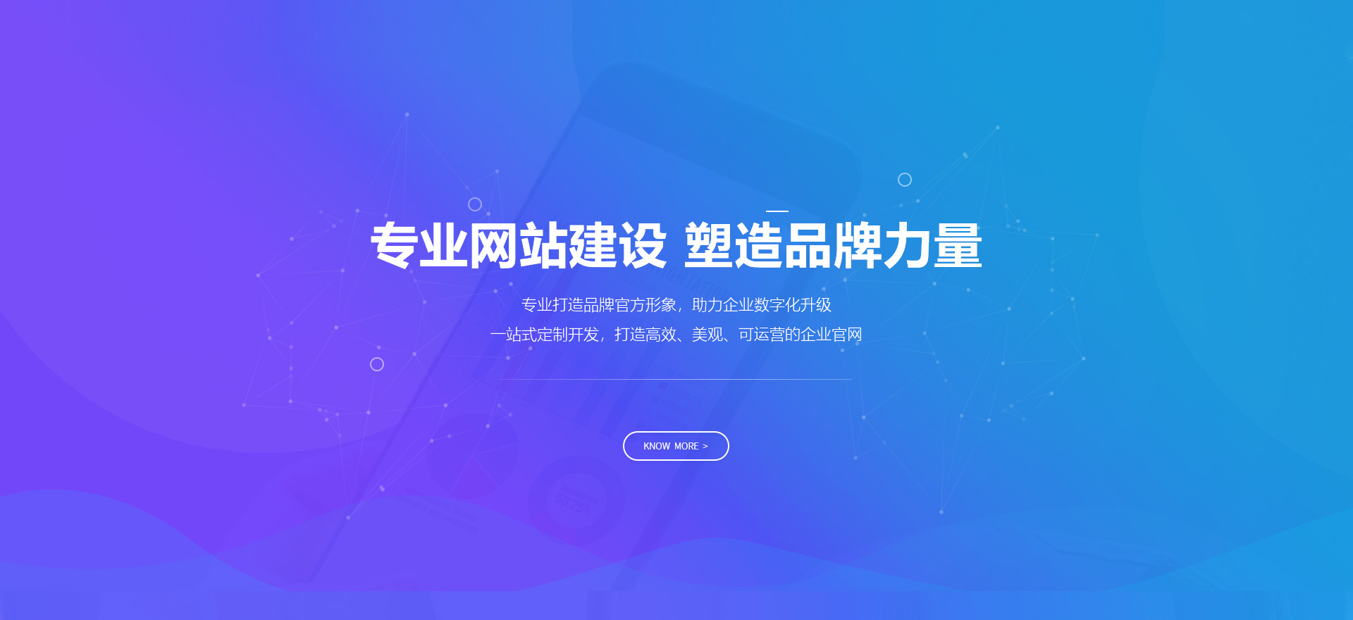 疏勒建站-专业网站建设 塑造品牌力量