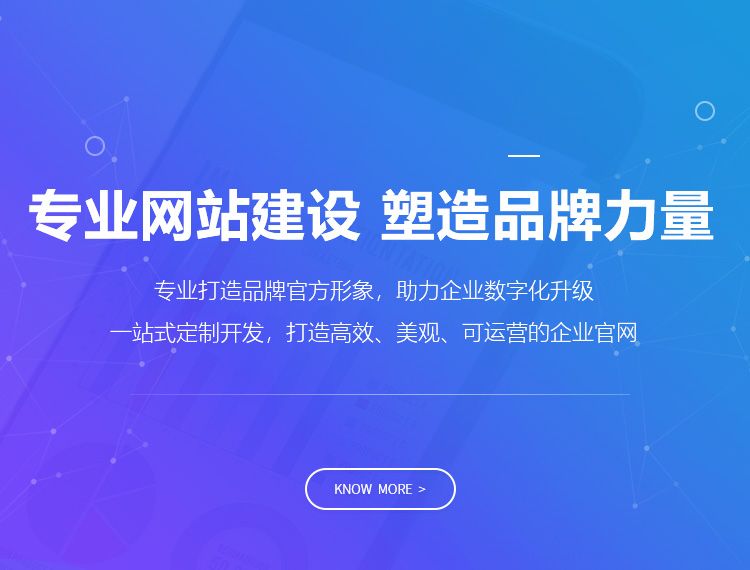 疏勒建站-专业网站建设 塑造品牌力量